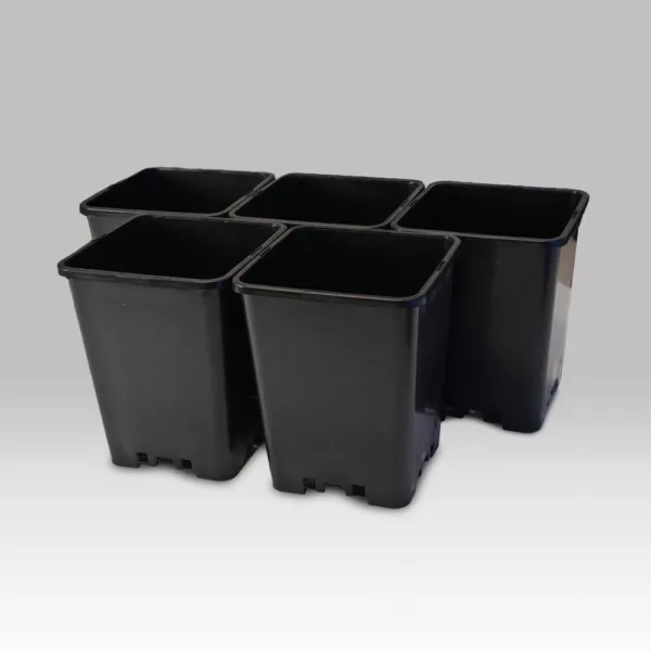 Buy 4x4 Plastic Pots in Pakistan